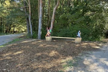 43. Brigáda v Borovicovom Háji 2024