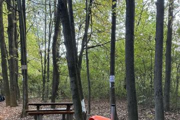 Pribudol odpadkový kôš 2024