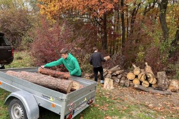 Vydarená októbrová akcia - Sobotné doobedie so 17 dobrovoľníkmi v Borovicovom háji 2024
