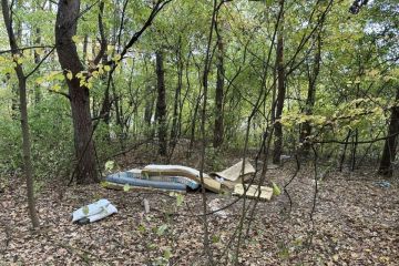 Vydarená októbrová akcia - Sobotné doobedie so 17 dobrovoľníkmi v Borovicovom háji 2024