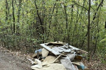 Vydarená októbrová akcia - Sobotné doobedie so 17 dobrovoľníkmi v Borovicovom háji 2024