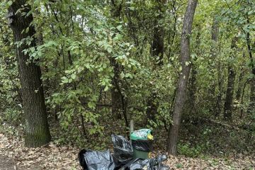 Vydarená októbrová akcia - Sobotné doobedie so 17 dobrovoľníkmi v Borovicovom háji 2024