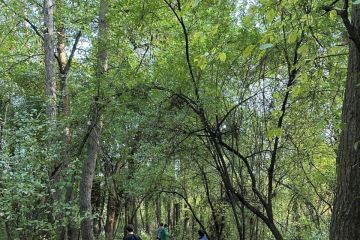 Vydarená októbrová akcia - Sobotné doobedie so 17 dobrovoľníkmi v Borovicovom háji 2024