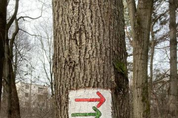 2022 - Okruhy zdravia