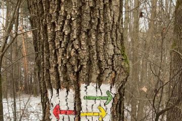 2022 - Okruhy zdravia