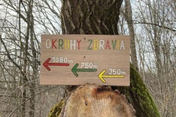 2022 - Okruhy zdravia